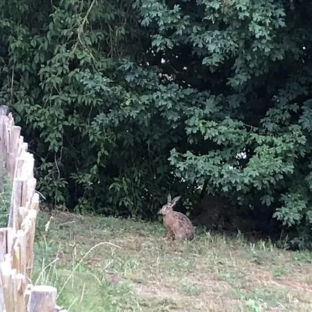 Mp 9 Prázdninový dům Klutz