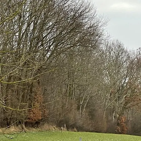 別荘 Mp 9 クリュツ