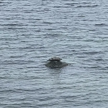 Mp 9 Prázdninový dům *